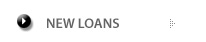 New Loans
