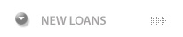 New Loans